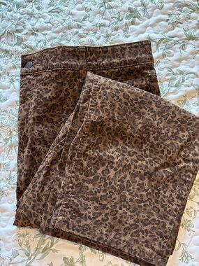 Terra & Sky Brown Leopard Pants